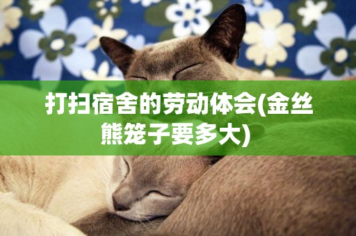 打掃宿舍的勞動體會(金絲熊籠子要多大) 