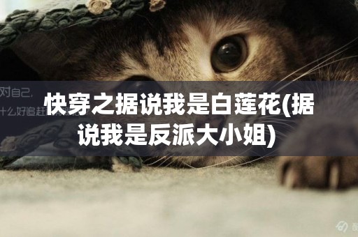 快穿之據說我是白蓮花(據說我是反派大小姐) 