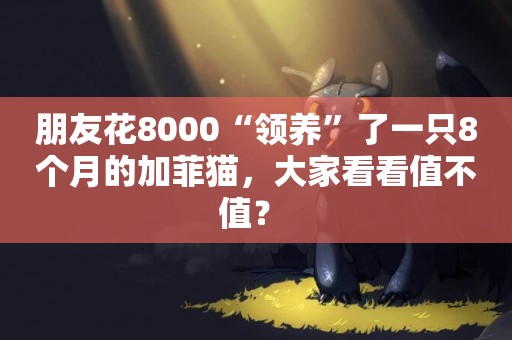 朋友花8000“領養”了一只8個月的加菲貓，大家看看值不值？ 