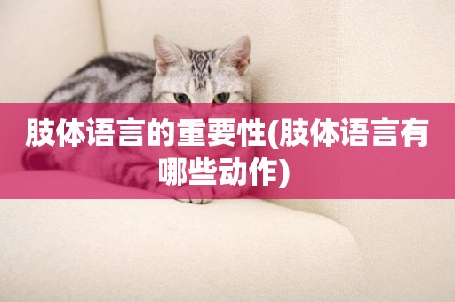 肢體語言的重要性(肢體語言有哪些動作) 