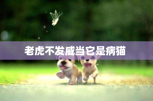 老虎不發威當它是病貓 