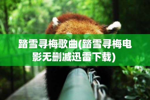 踏雪尋梅歌曲(踏雪尋梅電影無刪減迅雷下載) 