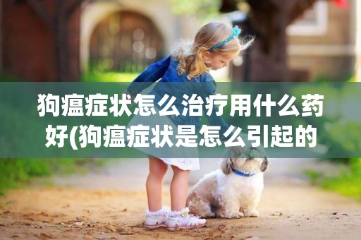 狗瘟癥狀怎么治療用什么藥好(狗瘟癥狀是怎么引起的) 