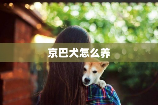 京巴犬怎么養