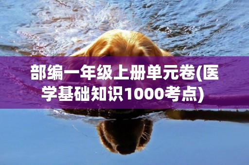 部編一年級上冊單元卷(醫學基礎知識1000考點) 