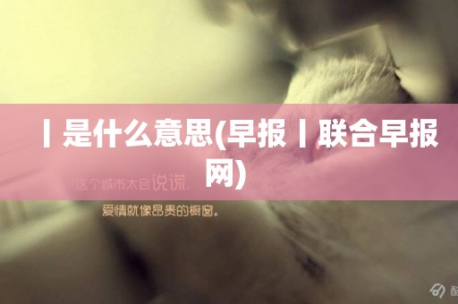 丨是什么意思(早報丨聯合早報網) 