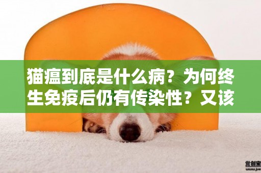 貓瘟到底是什么病？為何終生免疫后仍有傳染性？又該如何預防？ 