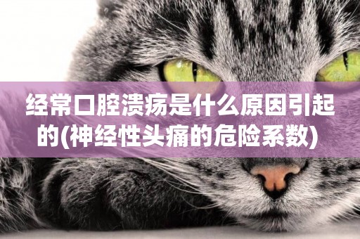 經常口腔潰瘍是什么原因引起的(神經性頭痛的危險系數) 