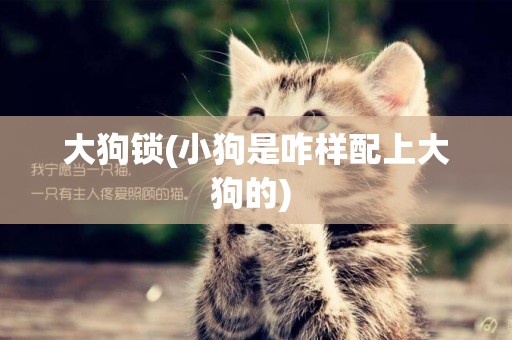 大狗鎖(小狗是咋樣配上大狗的) 