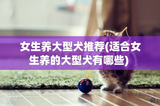 女生養大型犬推薦(適合女生養的大型犬有哪些) 