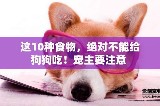 這10種食物，絕對不能給狗狗吃！寵主要注意 