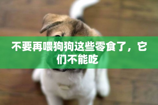 不要再喂狗狗這些零食了，它們不能吃 