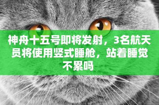 神舟十五號即將發射，3名航天員將使用豎式睡艙，站著睡覺不累嗎 