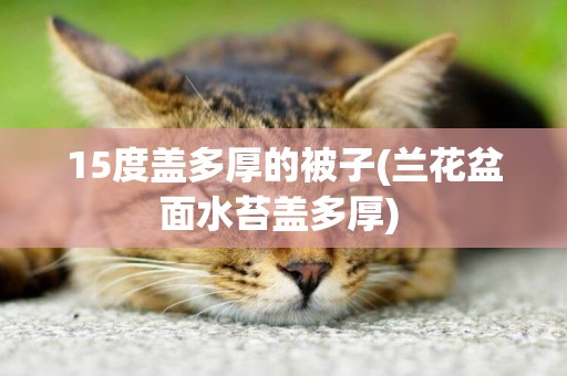 15度蓋多厚的被子(蘭花盆面水苔蓋多厚) 