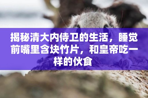 揭秘清大內侍衛的生活，睡覺前嘴里含塊竹片，和皇帝吃一樣的伙食 