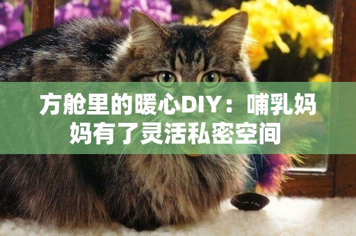 方艙里的暖心DIY：哺乳媽媽有了靈活私密空間 
