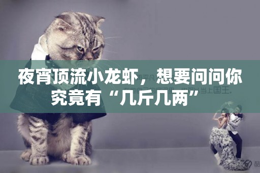 夜宵頂流小龍蝦，想要問問你究竟有“幾斤幾兩” 