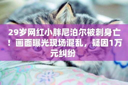 29歲網紅小胖尼泊爾被刺身亡！畫面曝光現場混亂，疑因1萬元糾紛 