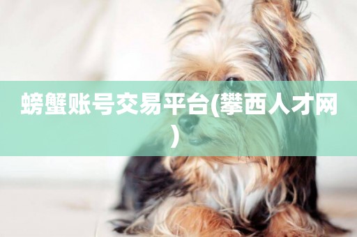 螃蟹賬號交易平臺(攀西人才網) 