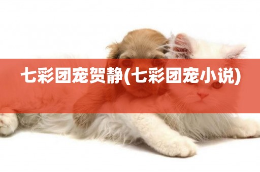 七彩團寵賀靜(七彩團寵小說) 