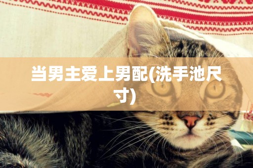 當男主愛上男配(洗手池尺寸) 