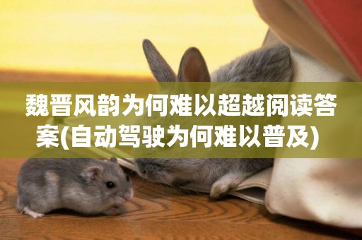 魏晉風韻為何難以超越閱讀答案(自動駕駛為何難以普及) 