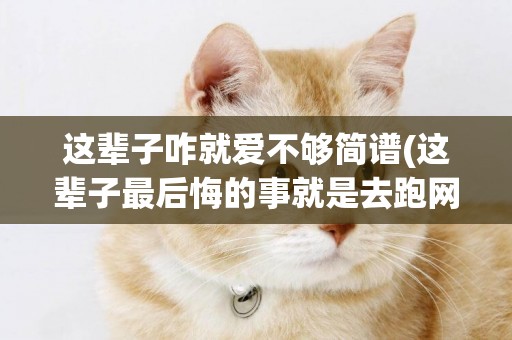 這輩子咋就愛不夠簡譜(這輩子最后悔的事就是去跑網約車) 