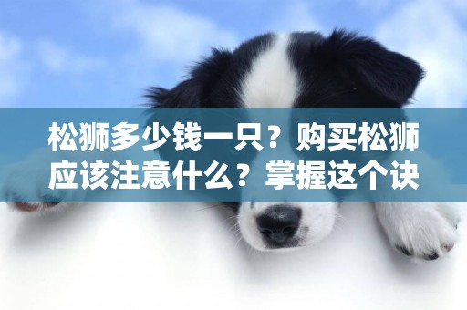 松獅多少錢一只？購買松獅應該注意什么？掌握這個訣竅少走彎路！ 