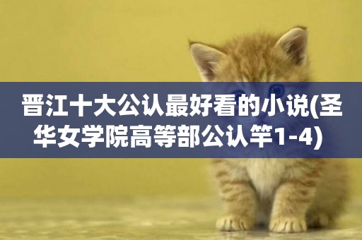 晉江十大公認最好看的小說(圣華女學院高等部公認竿1-4) 