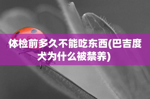 體檢前多久不能吃東西(巴吉度犬為什么被禁養) 