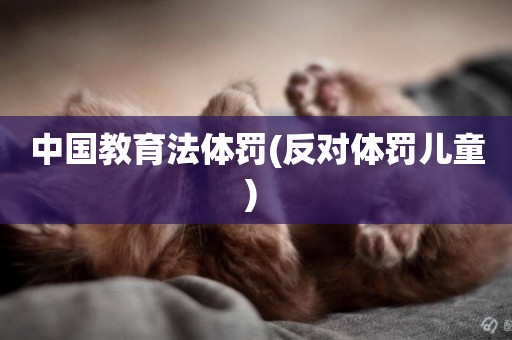 中國教育法體罰(反對體罰兒童) 