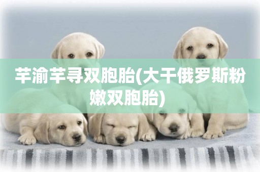 芊渝芊尋雙胞胎(大干俄羅斯粉嫩雙胞胎) 