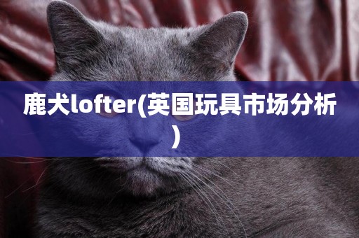 鹿犬lofter(英國玩具市場分析) 