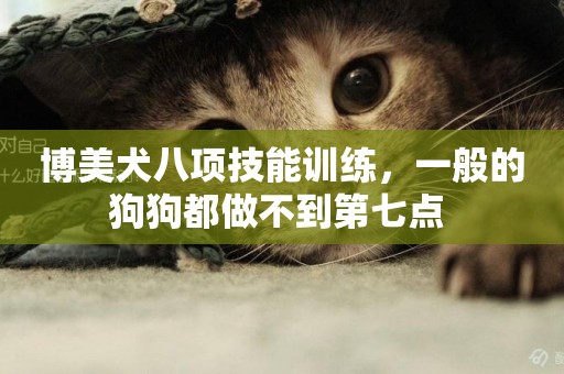 博美犬八項技能訓練，一般的狗狗都做不到第七點 