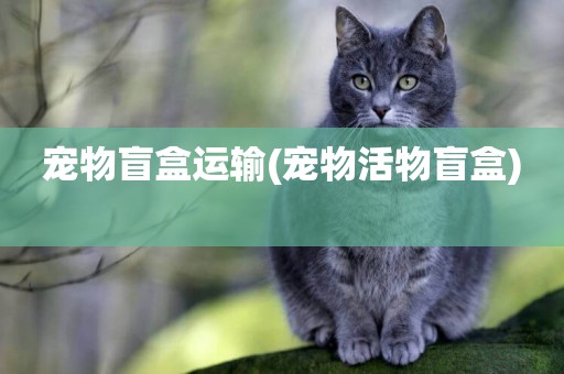 寵物盲盒運輸(寵物活物盲盒) 