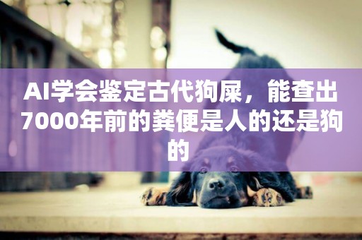 AI學會鑒定古代狗屎，能查出7000年前的糞便是人的還是狗的 