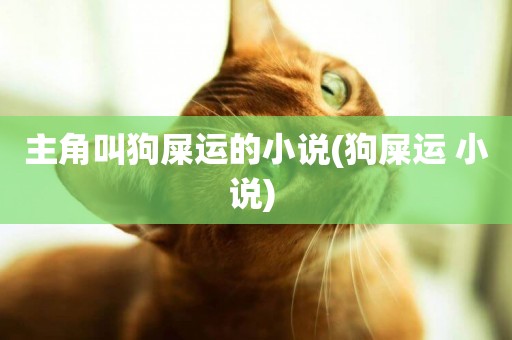 主角叫狗屎運的小說(狗屎運 小說) 
