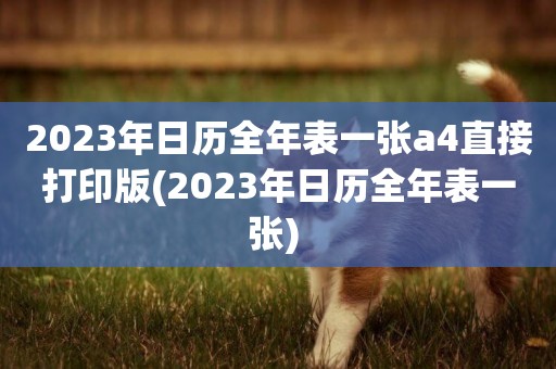 2023年日歷全年表一張a4直接打印版(2023年日歷全年表一張) 