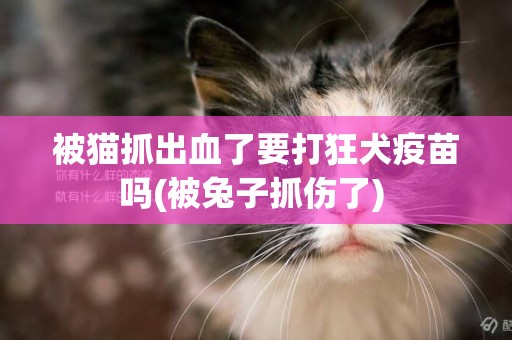 被貓抓出血了要打狂犬疫苗嗎(被兔子抓傷了) 
