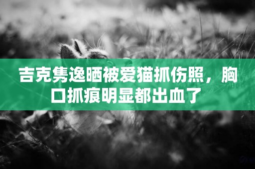 吉克雋逸曬被愛貓抓傷照，胸口抓痕明顯都出血了 