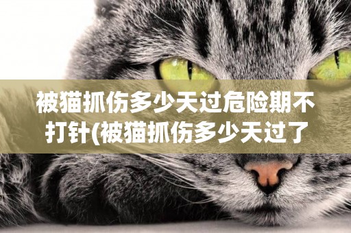 被貓抓傷多少天過危險期不打針(被貓抓傷多少天過了危險期) 