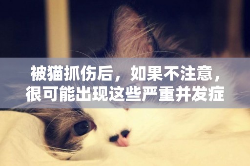 被貓抓傷后，如果不注意，很可能出現這些嚴重并發癥 
