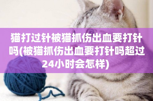 貓打過針被貓抓傷出血要打針嗎(被貓抓傷出血要打針嗎超過24小時會怎樣) 