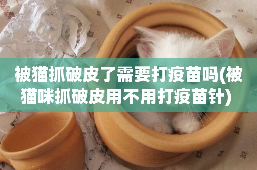 被貓抓破皮了需要打疫苗嗎(被貓咪抓破皮用不用打疫苗針) 