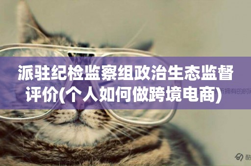 派駐紀檢監察組政治生態監督評價(個人如何做跨境電商) 