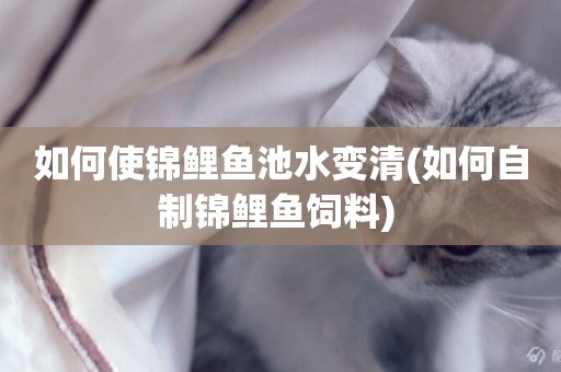 如何使錦鯉魚池水變清(如何自制錦鯉魚飼料) 