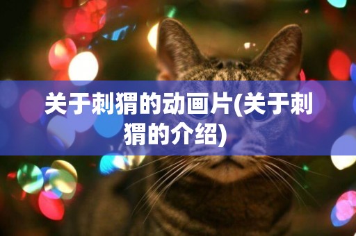 關于刺猬的動畫片(關于刺猬的介紹) 