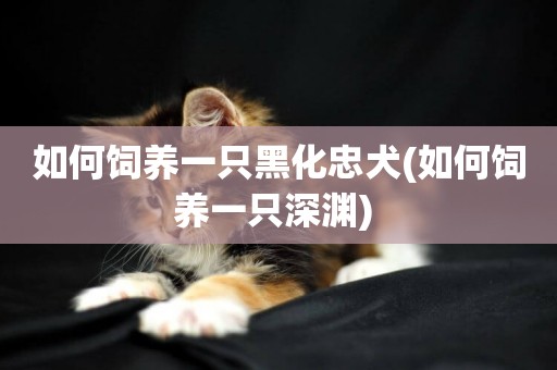 如何飼養一只黑化忠犬(如何飼養一只深淵) 