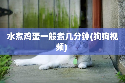 水煮雞蛋一般煮幾分鐘(狗狗視頻) 