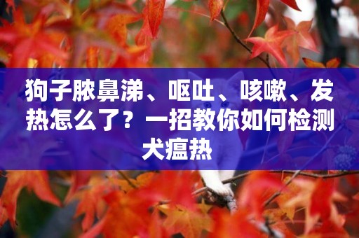 狗子膿鼻涕、嘔吐、咳嗽、發熱怎么了？一招教你如何檢測犬瘟熱 